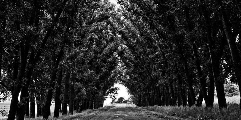 高尔夫GPS手表 vs 激光测距仪：如何为您的球包选择最佳距离测量配件