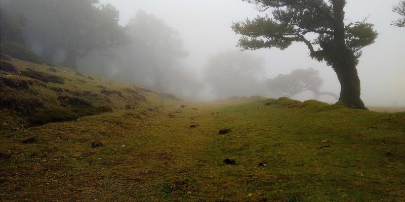 高尔夫冬季分层着装系统：高科技面料在低温与大风条件下的实战应用