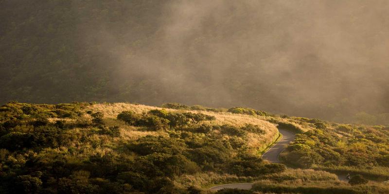 高尔夫手套材质全解析：山羊皮、合成革与高科技面料如何影响你的握杆与击球表现