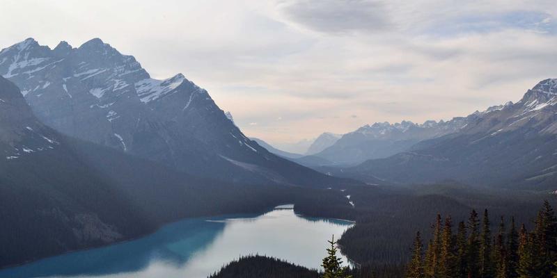 高尔夫推杆杆面科技解析：从传统光面到现代嵌入物如何影响球滚动与手感