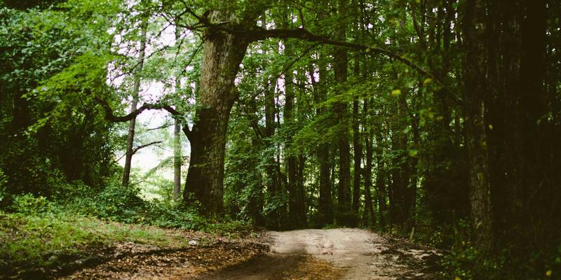 高尔夫推杆面研磨技术详解：不同的杆面纹路如何影响球的滚动与手感 | 5210高尔夫