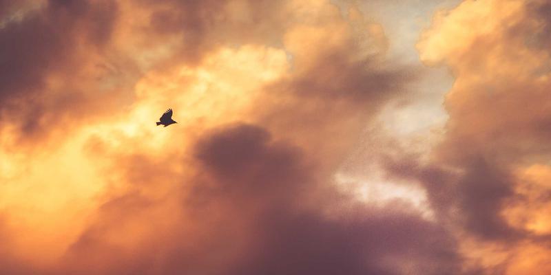 高尔夫果岭阅读工具深度测评：推杆路线书籍、数字坡度仪与经验判断法