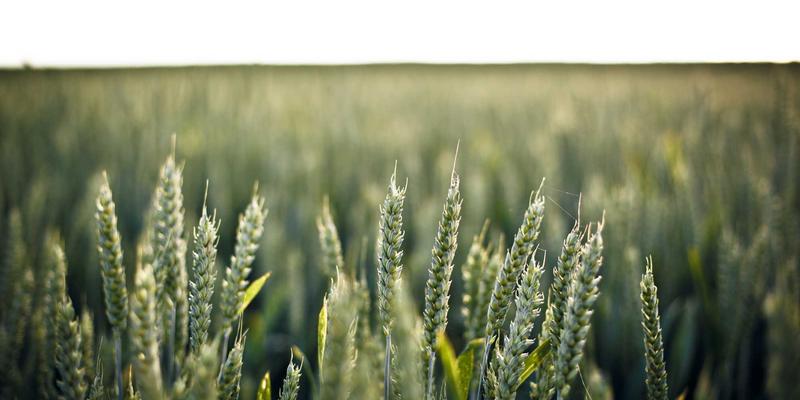 高尔夫模拟器家庭安装全攻略：从5210高尔夫设备选择到空间规划与体验优化