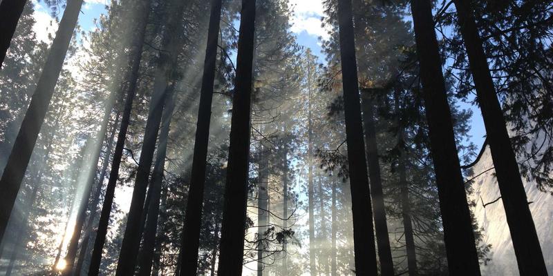 高尔夫球鞋科技解析：如何通过鞋底设计与材质提升站姿稳定性与舒适度 | 5210高尔夫用品指南