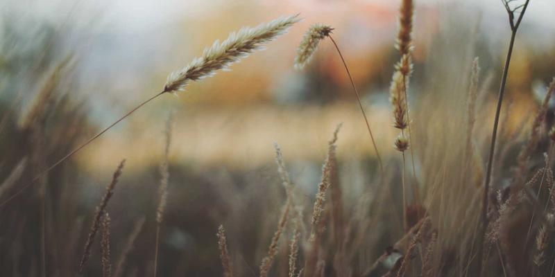 高尔夫用品69:从5210高尔夫到专业球杆,打造完美装备库