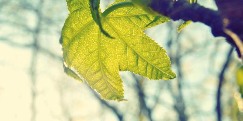 高尔夫用品77:从高尔夫球到专业配件,5210高尔夫选购全指南