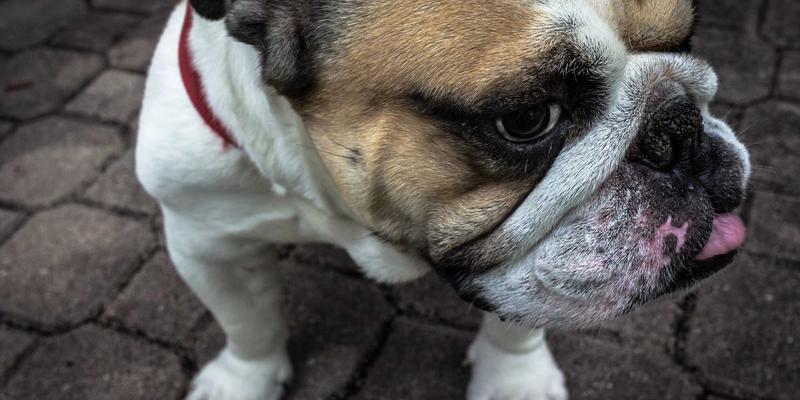 高尔夫用品81：从球杆、服装到配件的全方位选购与进阶指南