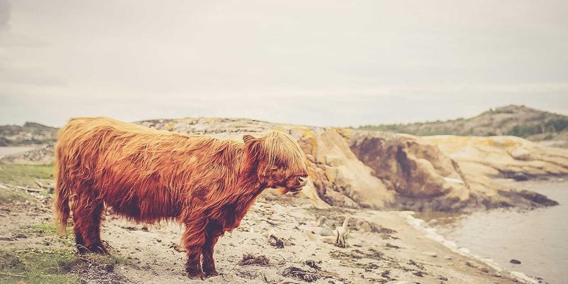 高尔夫用品88：从高尔夫装备到5210高尔夫的进阶指南