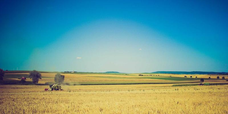 高尔夫用品98：从球杆到服装的全面装备指南