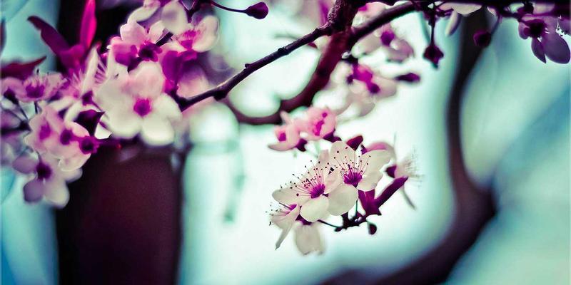 高尔夫用品全解析：从核心球杆到专业配件，打造你的制胜装备库