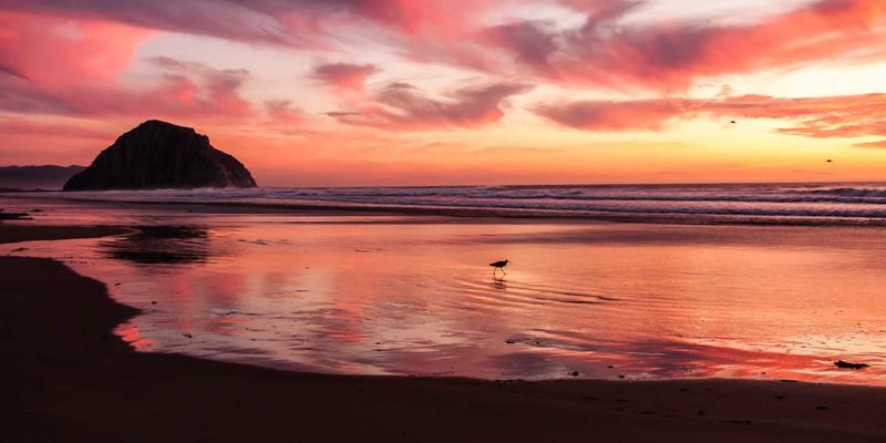 高尔夫用品完全指南:从服装到球杆的进阶教程