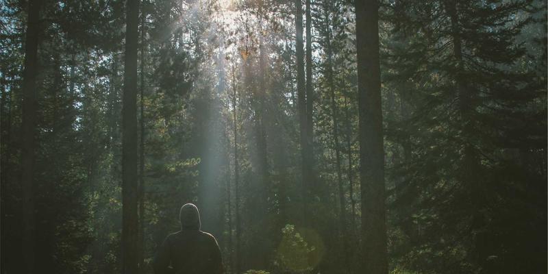 高尔夫用品市场前景展望：从传统运动到新兴消费浪潮